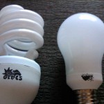 Brighten your Day with CFL Compact Fluorescent Light Bulbs